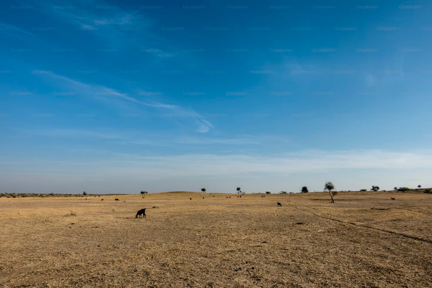 Plots for Rent Service in Aligarh